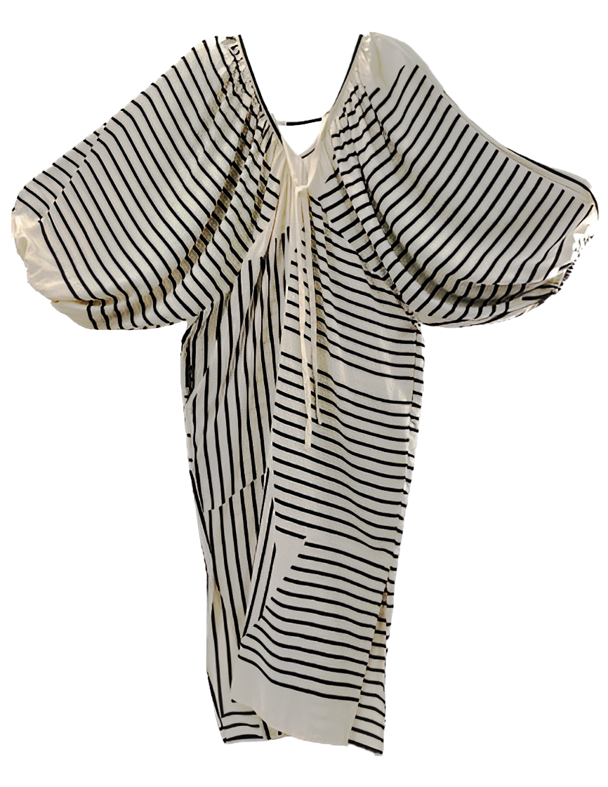 Silk Robe with Black Stripes	